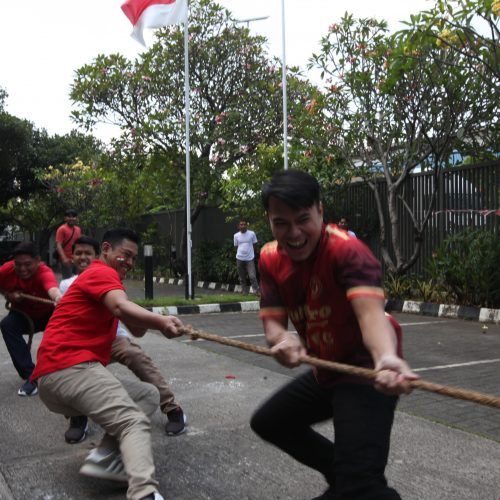 tambang 7